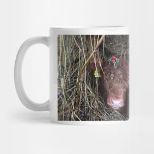 Scottish Highland Cattle Calf 1638 Mug